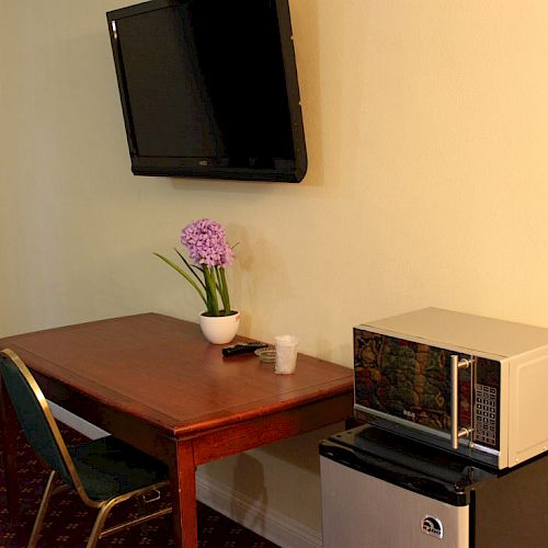 The image shows a small room corner with a table, chair, potted flower, TV on the wall, microwave on a mini-fridge, and a carpeted floor.