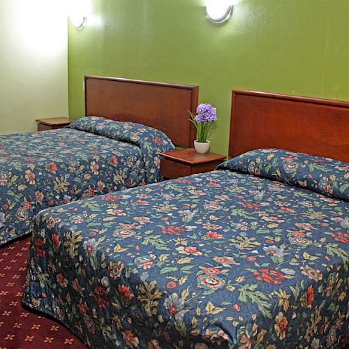 The image shows a hotel room with two double beds having floral bedspreads, green walls, and a nightstand between them holding a plant.